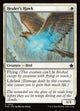 Healer's Hawk (FDN #734)