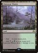 Llanowar Wastes (248) (Magic Origins)