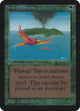 Birds of Paradise (LEA #186)