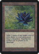 Black Lotus (Alpha Edition)