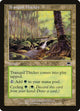 Tranquil Thicket (326) (Onslaught)