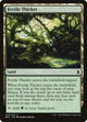 Fertile Thicket (237) (Battle for Zendikar)
