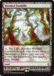 [Foil] Wooded Foothills (19) (Zendikar Expeditions)
