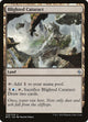 Blighted Cataract (229) (Battle for Zendikar)