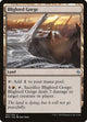 [Foil] Blighted Gorge (231) (Battle for Zendikar)