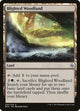 [Foil] Blighted Woodland (233) (Battle for Zendikar)