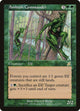 Ambush Commander (111) (Scourge)