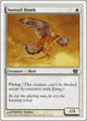 Suntail Hawk (51) (8th Edition)