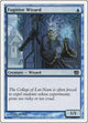 Fugitive Wizard (81) (8th Edition)