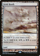 [Foil] Fetid Heath (31) (Zendikar Expeditions)