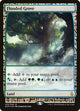 [Foil] Flooded Grove (35) (Zendikar Expeditions)