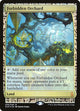 [Foil] Forbidden Orchard (39) (Zendikar Expeditions)