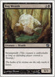 Bog Wraith (120) (8th Edition)