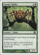 Canopy Spider (236) (8th Edition)