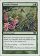[Foil] Fertile Ground (248) (8th Edition)