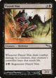 [Foil] Flayed Nim (65) (Mirrodin)