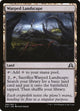 [Foil] Warped Landscape (280) (Shadows over Innistrad)