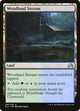 [Foil] Woodland Stream (282) (Shadows over Innistrad)