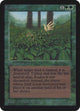Kudzu (Alpha Edition)