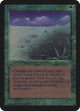 Lifelace (Alpha Edition)