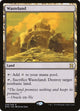 [Foil] Wasteland (248) (Eternal Masters)