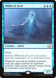 [Foil] Niblis of Frost (72) (Unique and Miscellaneous Promos)