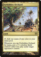 Forbidden Orchard (276) (Champions of Kamigawa)