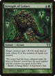 [Foil] Strength of Cedars (245) (Champions of Kamigawa)