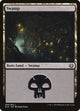 [Foil] Swamp (256) (256) (Kaladesh)
