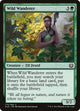 Wild Wanderer (173) (Kaladesh)