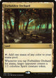 Forbidden Orchard (296) (Commander 2016)