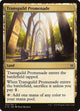 Transguild Promenade (334) (Commander 2016)