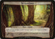 The Great Forest (Planechase Anthology) (Oversize Cards)