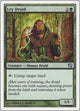 [Foil] Ley Druid (251) (9th Edition)