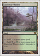 Llanowar Wastes (322) (9th Edition)