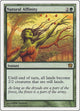 [Foil] Natural Affinity (256) (9th Edition)