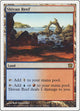 Shivan Reef (324) (9th Edition)
