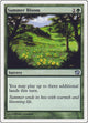 [Foil] Summer Bloom (273) (9th Edition)