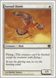 [Foil] Suntail Hawk (49) (9th Edition)