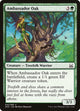 Ambassador Oak (42) (Mind vs. Might)