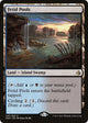 [Foil] Fetid Pools (243) (Amonkhet)