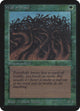 Wall of Wood (Alpha Edition)
