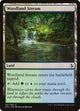 Woodland Stream (287) (Amonkhet)