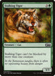 Stalking Tiger (28) (Welcome Deck 2017)