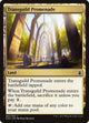 Transguild Promenade (280) (Commander Anthology)