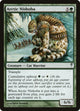 Arctic Nishoba (102) (Coldsnap)