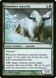 Rimehorn Aurochs (118) (Coldsnap)