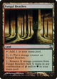 [Foil] Fungal Reaches (273) (Time Spiral)