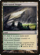 Saltcrusted Steppe (277) (Time Spiral)