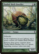 [Foil] Thallid Shell-Dweller (226) (Time Spiral)